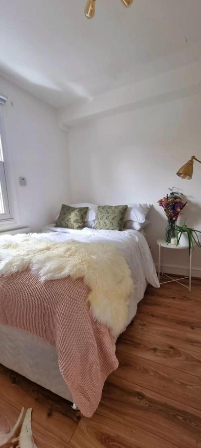 Stylish 3 Bedroom Townhouse In Brockley With Large Garden Casa vacanze Londra